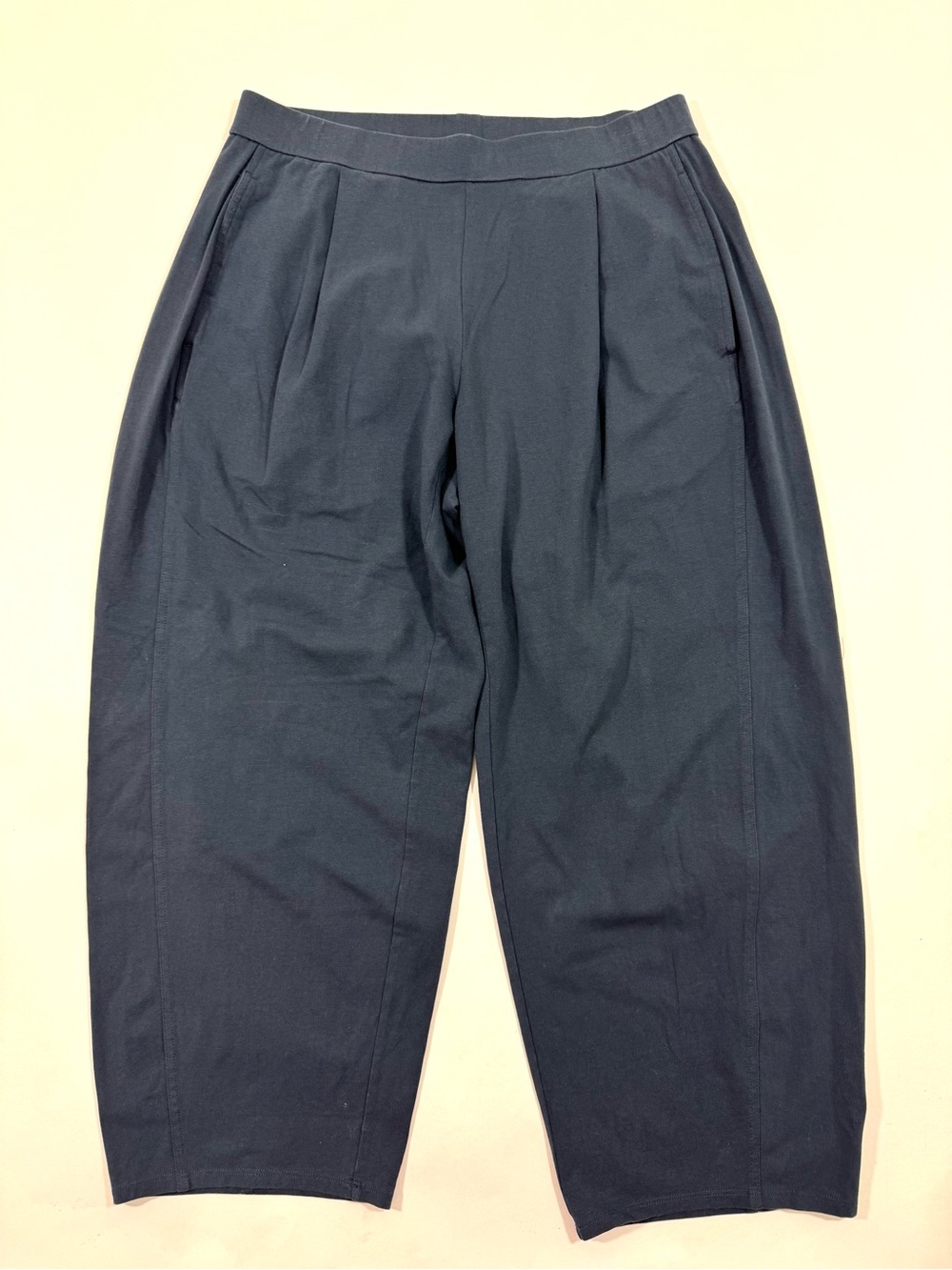 Eileen Fisher Arch Barrel Pants Blue